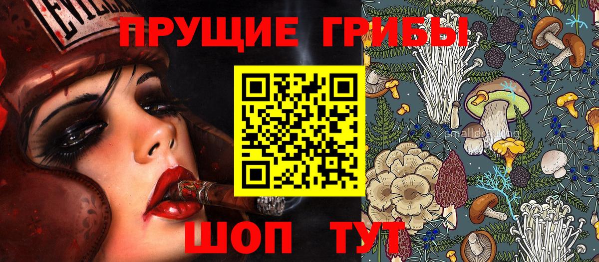 Галлюциногенные грибы MAGIC MUSHROOMS  Псилоцибиновые грибы Psilocybine cubensis  Артём  Вход с VPN 